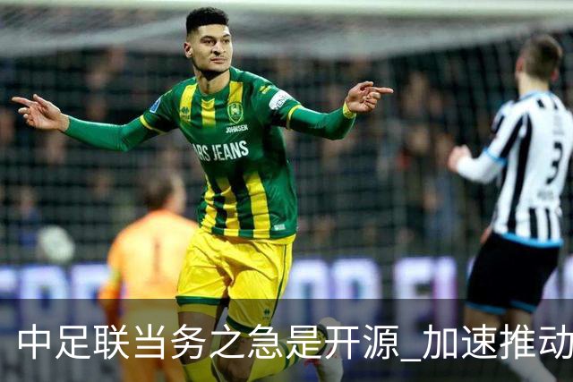 中足联当务之急是开源 加速推动中国足球职业化